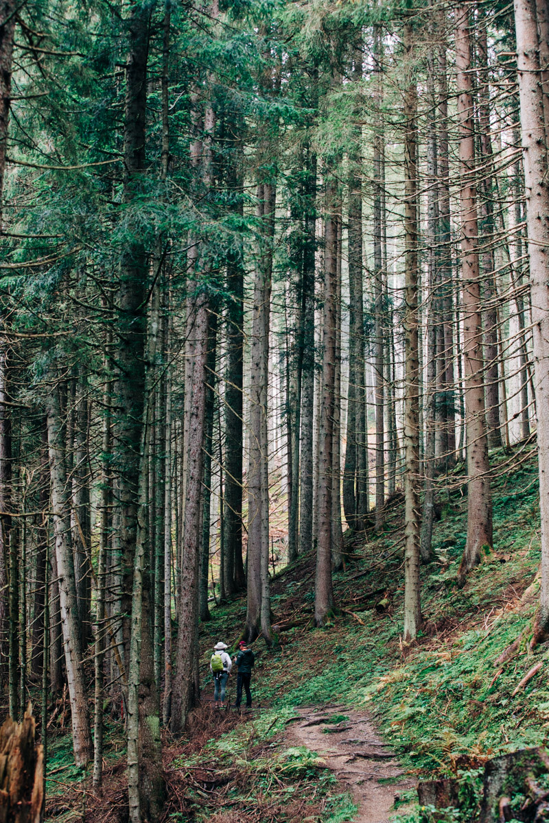 Hike the Salzburg Summit Game: A Quiet Alps Guide