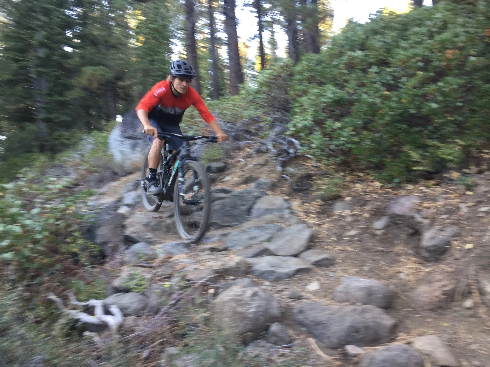 A Renthal Fatbar aluminum handlebar mounted on a downhill mountain bike.