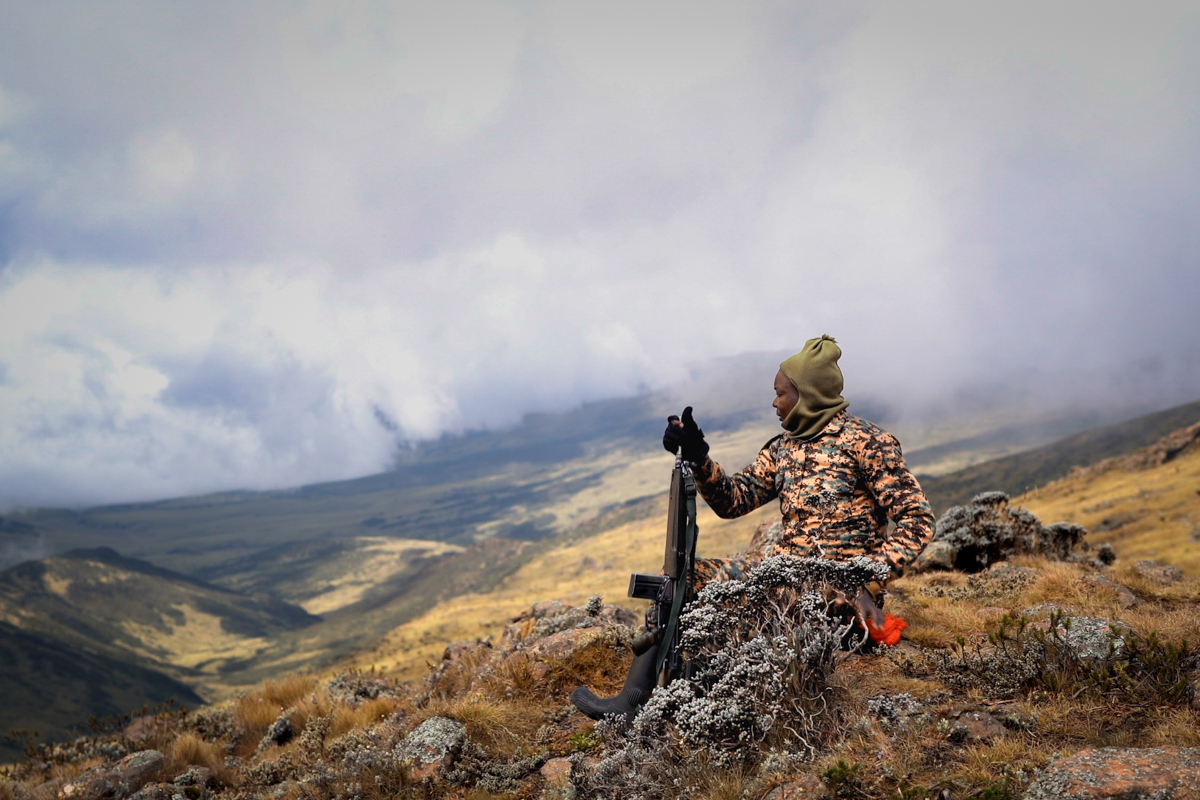 A KWS ranger standing on the summit of Mount Satima holding a rifle.