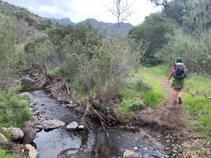 A small stream of water crossing a dirt hiking trail.