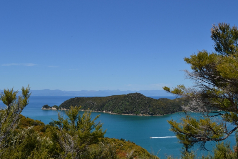11 Epic Great Walks New Zealand: Master Hiking Guide