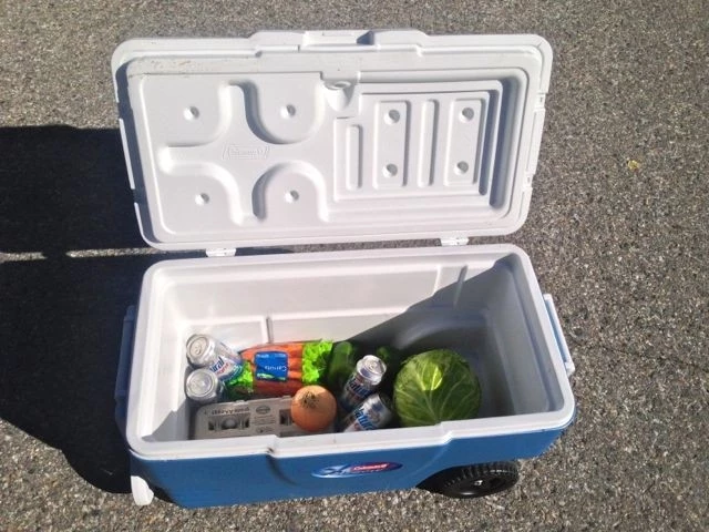 A partially filled Coleman Xtreme cooler showing its internal storage capacity for camping supplies.