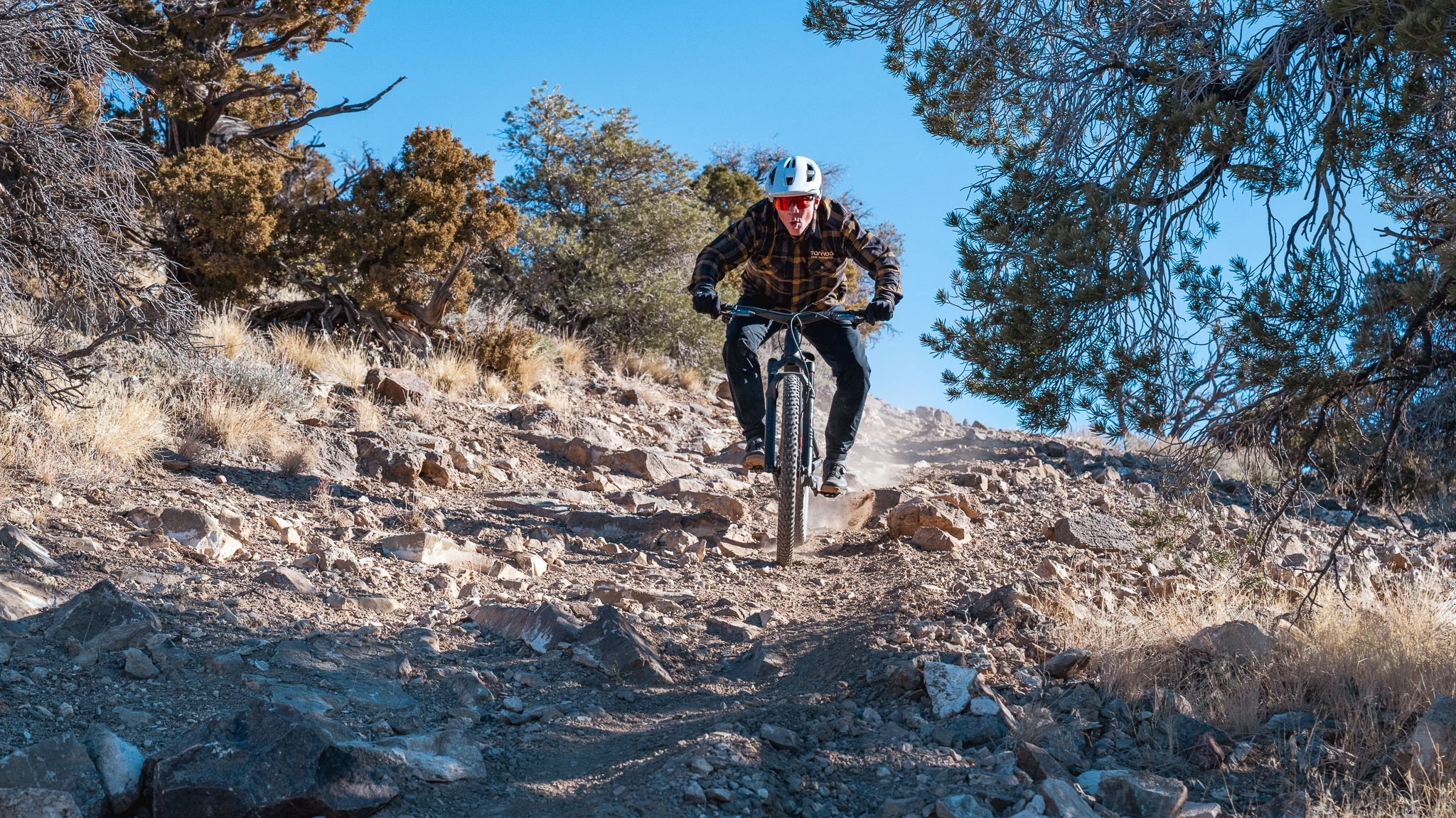 Close-up of a cyclist wearing trail-specific eyewear on a shaded forest path.