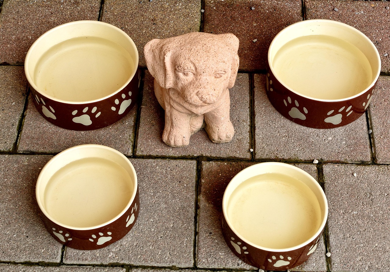A sturdy stainless steel dog bowl sitting on a camping mat next to a sleeping dog
