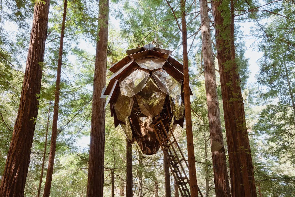The Pinecone Treehouse suspended high in the redwood canopy of Bonny Doon.