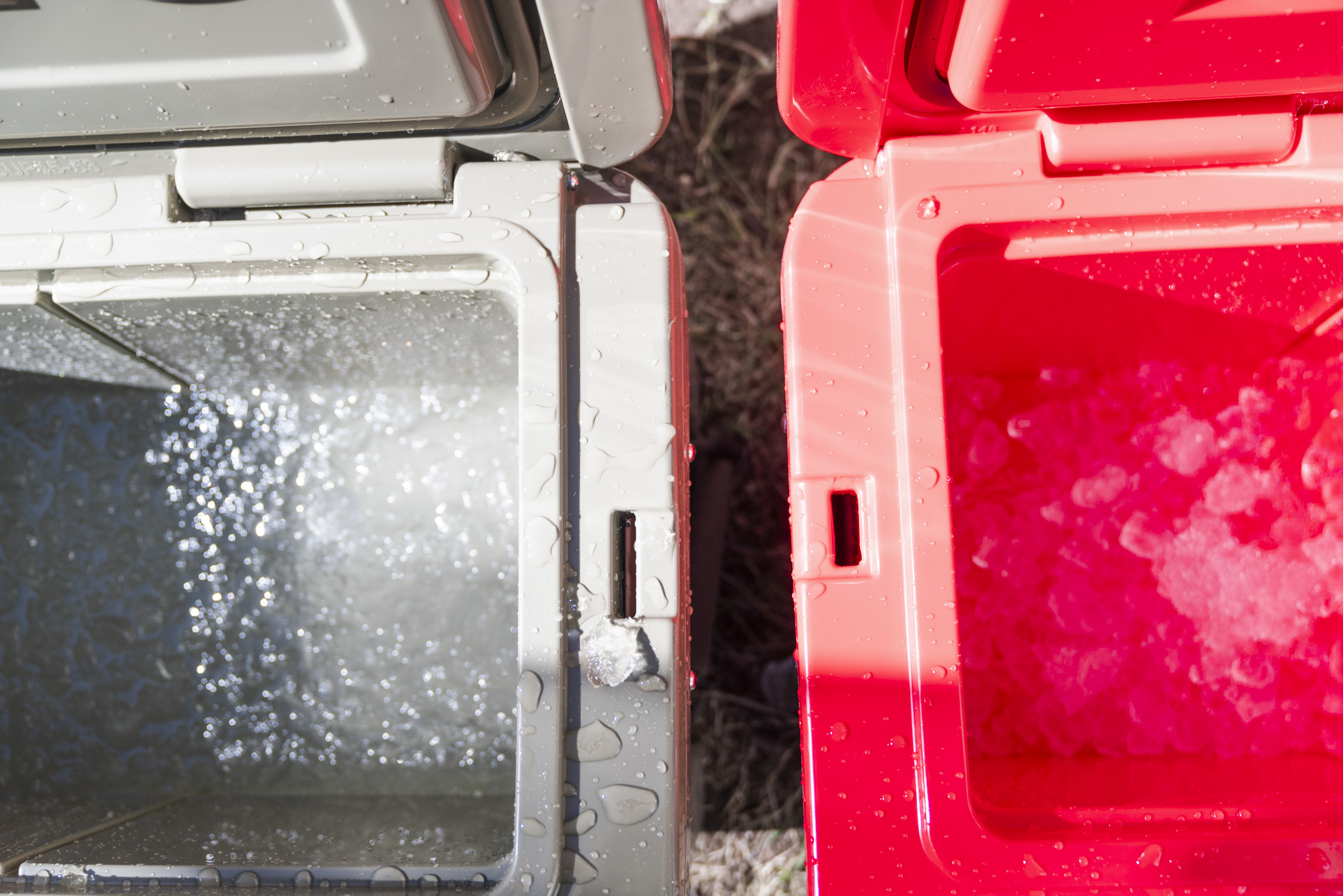 Best Camping Coolers 2026: Top Performance Picks