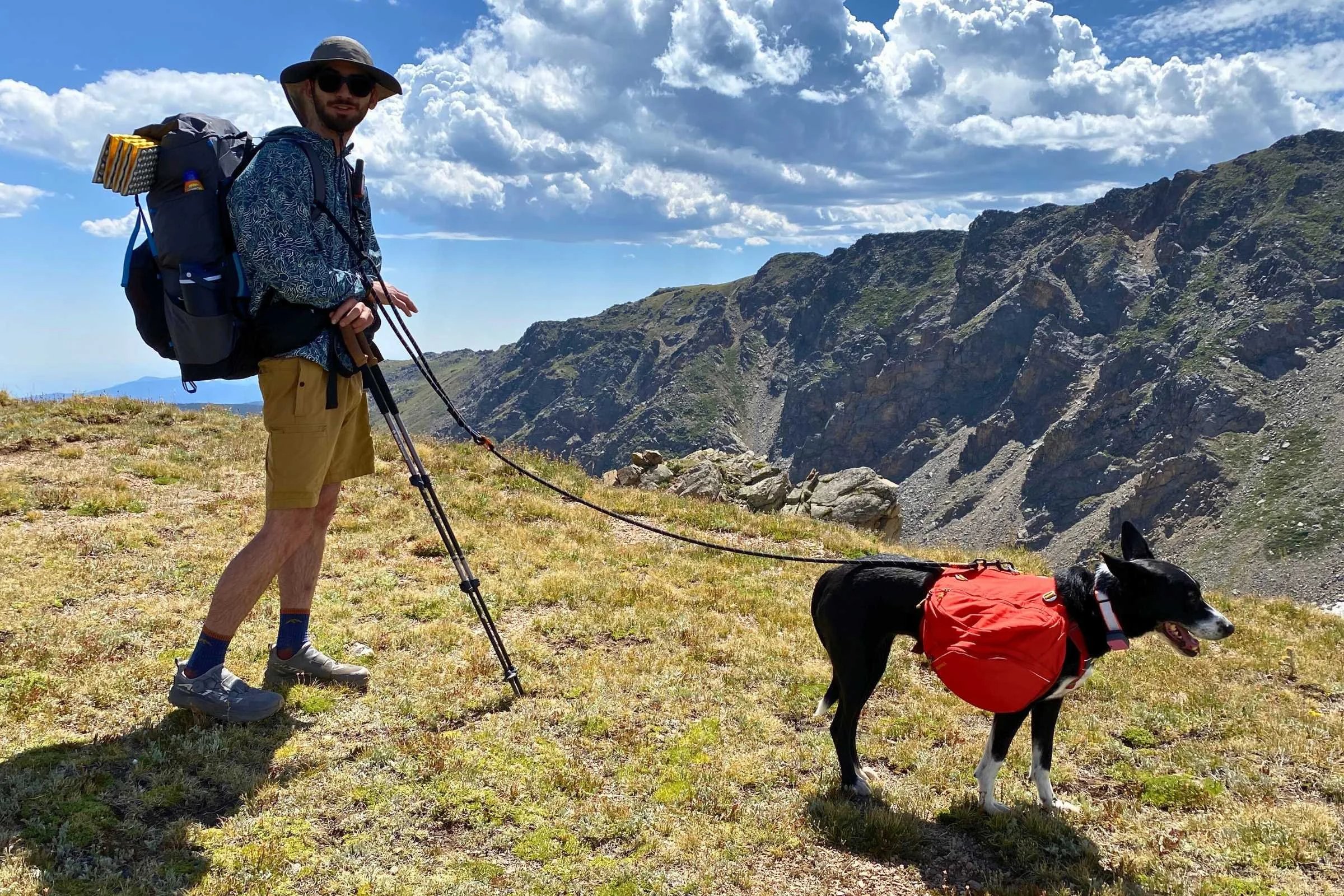 Hiking with Dogs: Expert Trainer Tips for the Trail