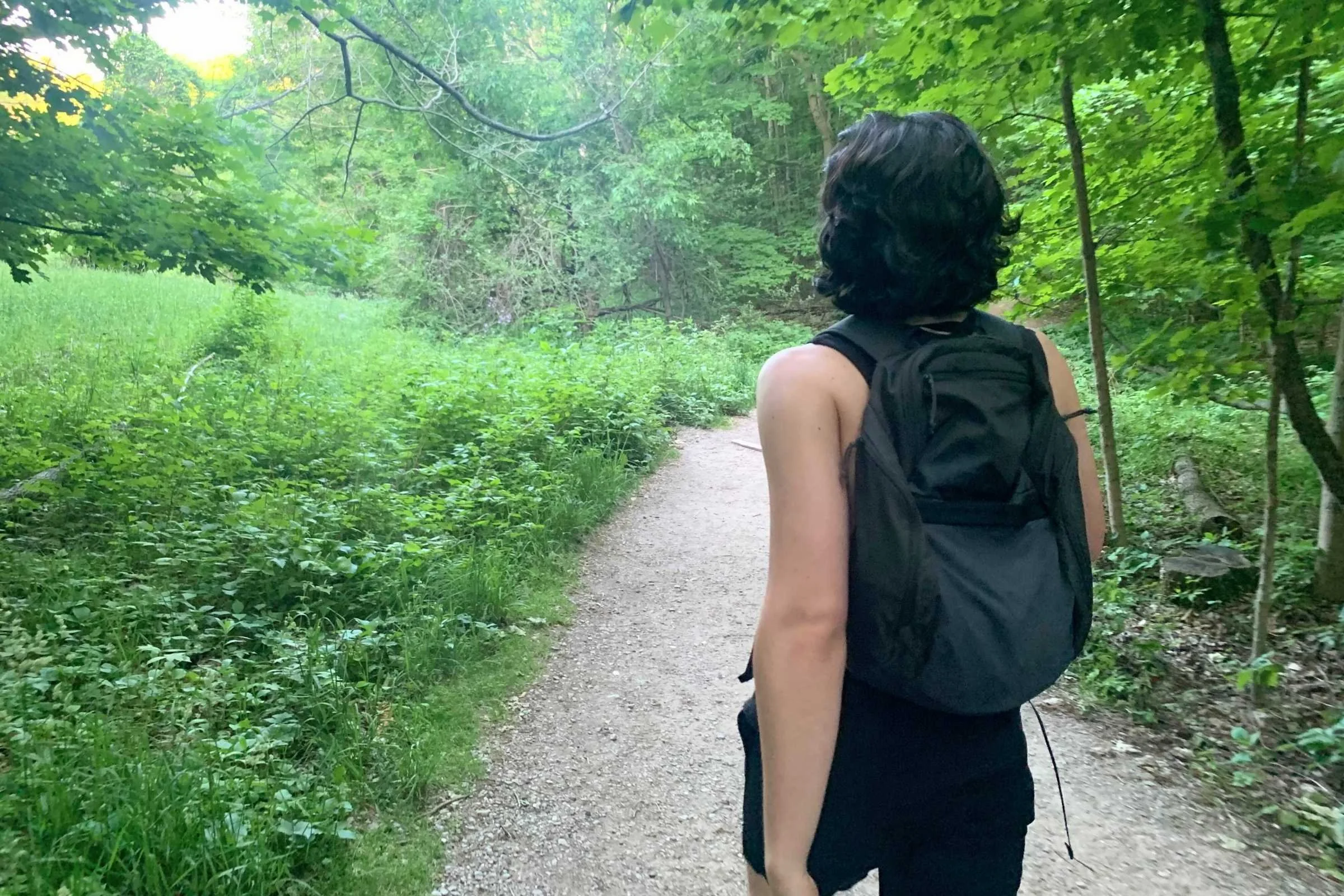 A person wearing a Patagonia daypack in a scenic outdoor setting, showing its sleek and versatile design.