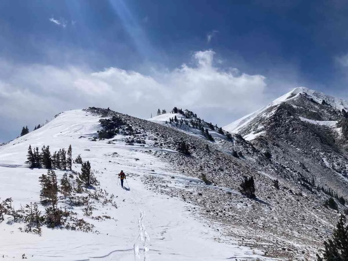 5 Essential Avalanche Safety Gear Tools for Skiers