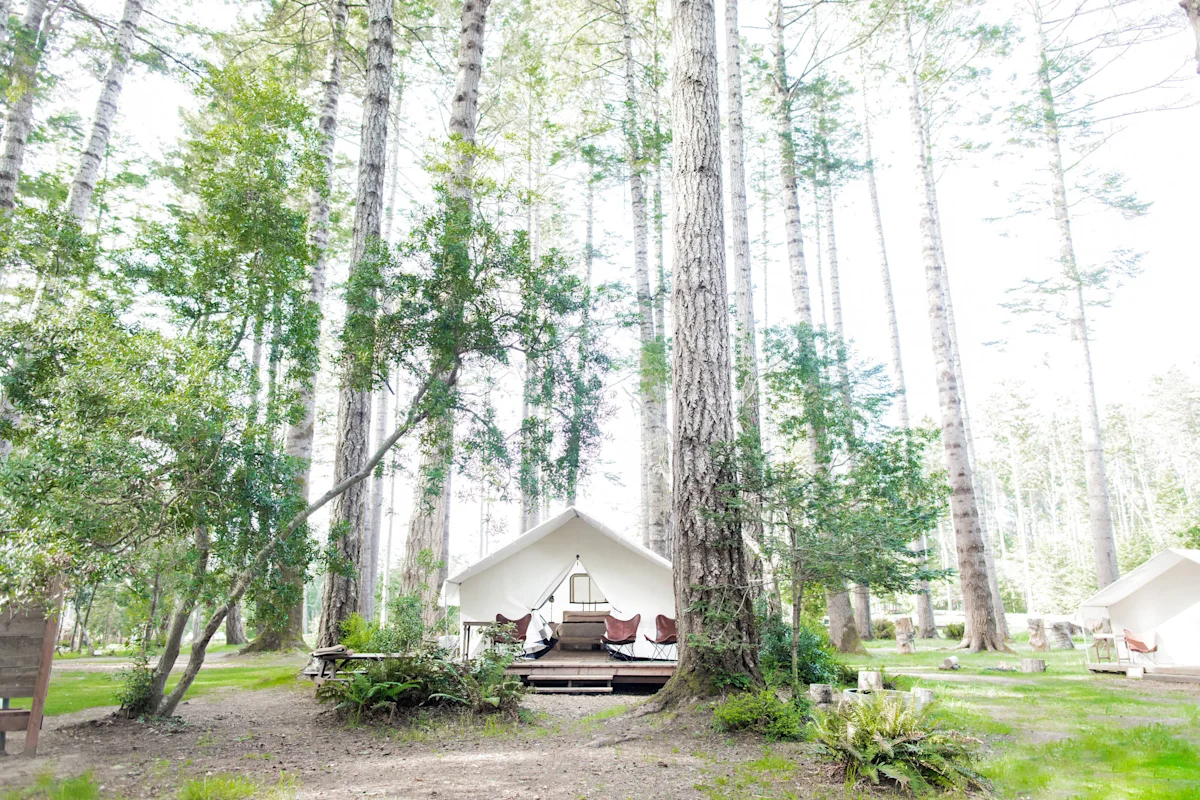Exterior view of a luxury canvas tent at Mendocino Grove surrounded by coastal redwoods.