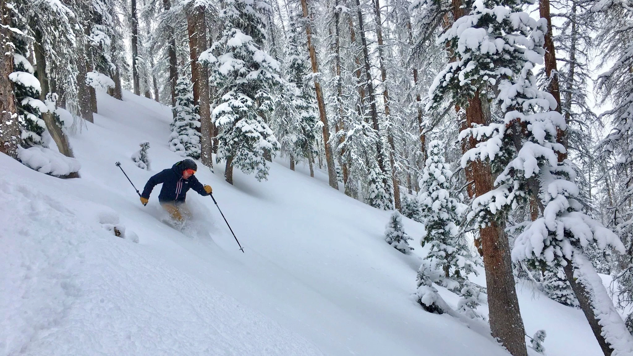 Skier wearing the Helly Hansen Alpha LifaLoft jacket during a high-speed descent.