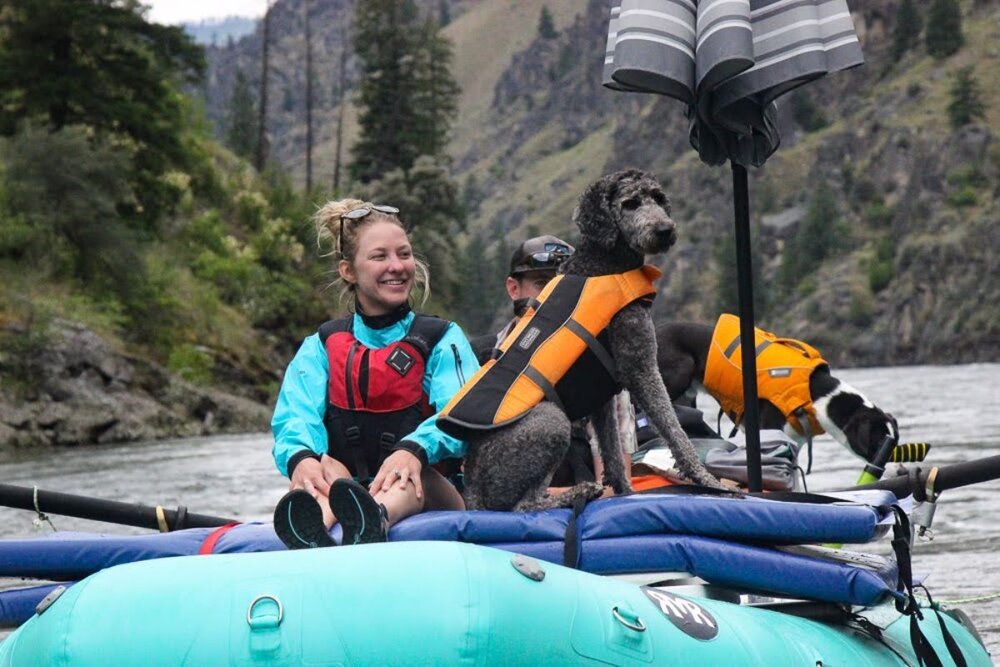 A dog sitting on a raft during a multi-day river trip on the Salmon River.