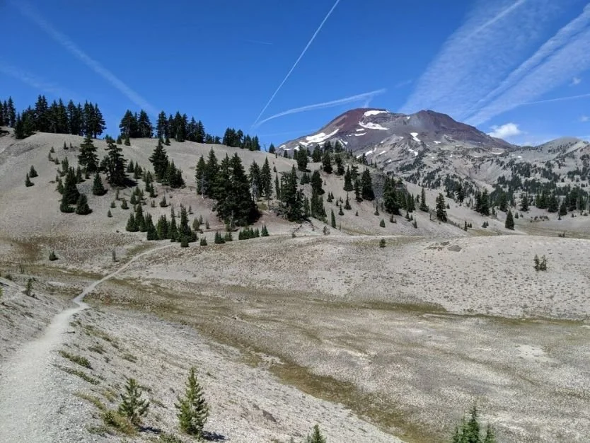 A clear hiking trail through an alpine meadow under a bright summer sun.