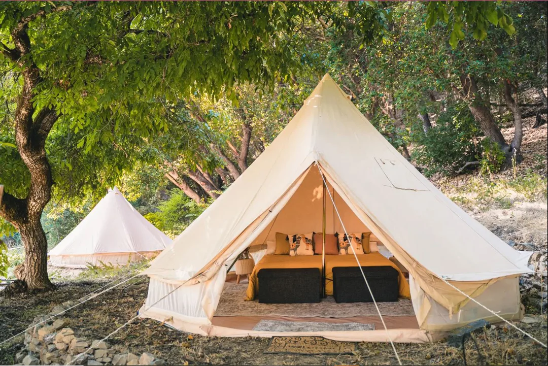 A group of high-end backpacking tents pitched in the Emerald Triangle area of California.