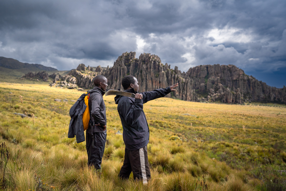 Aberdare National Park Hiking: Remote Trekking Guide
