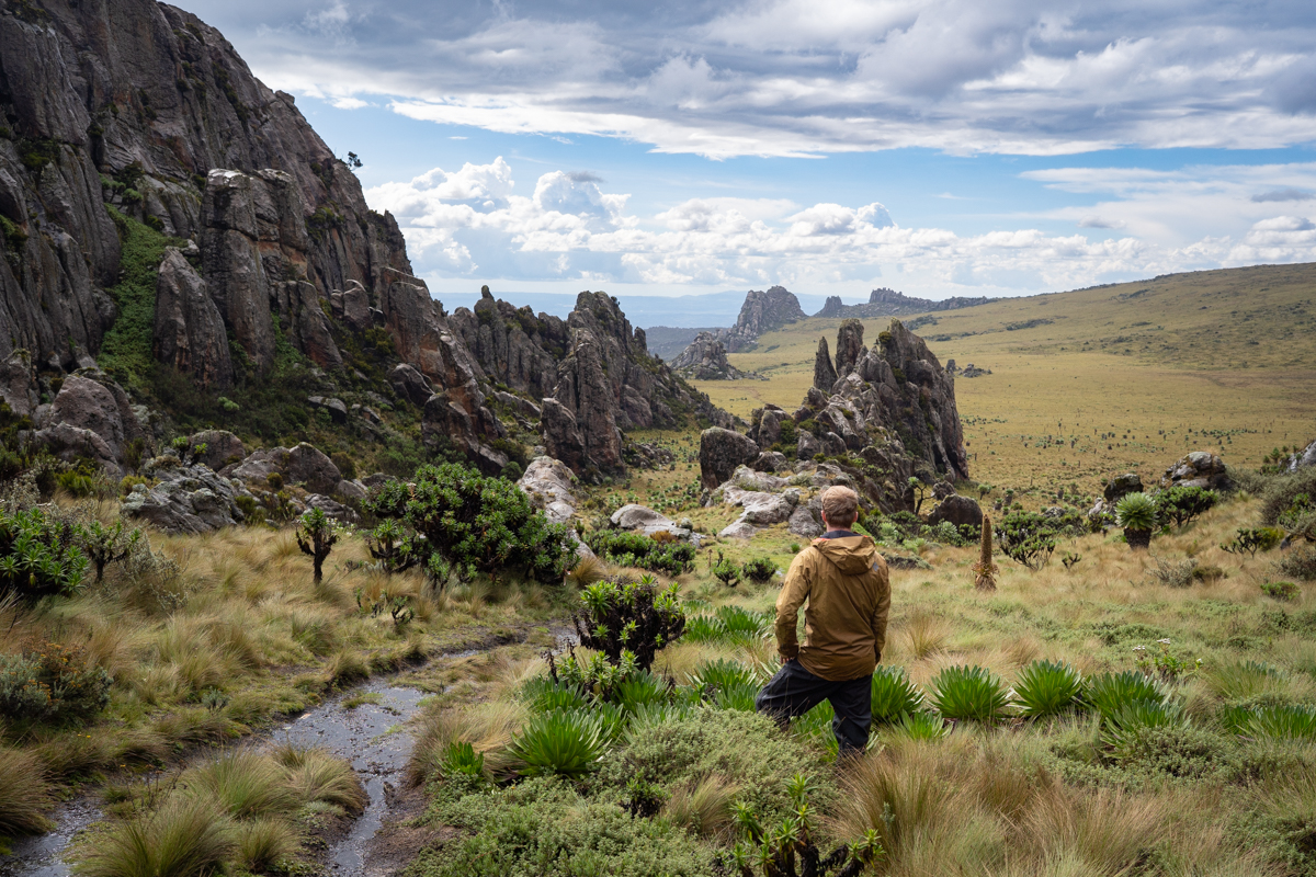 Overlooking the jagged rock formations known as Dragon's Teeth in the moorland.