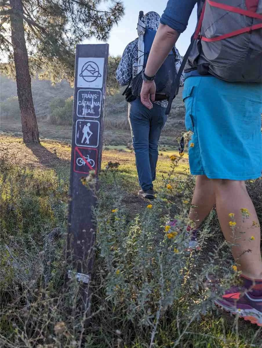 A metal fox-proof food storage locker located at a Trans Catalina Trail campsite.