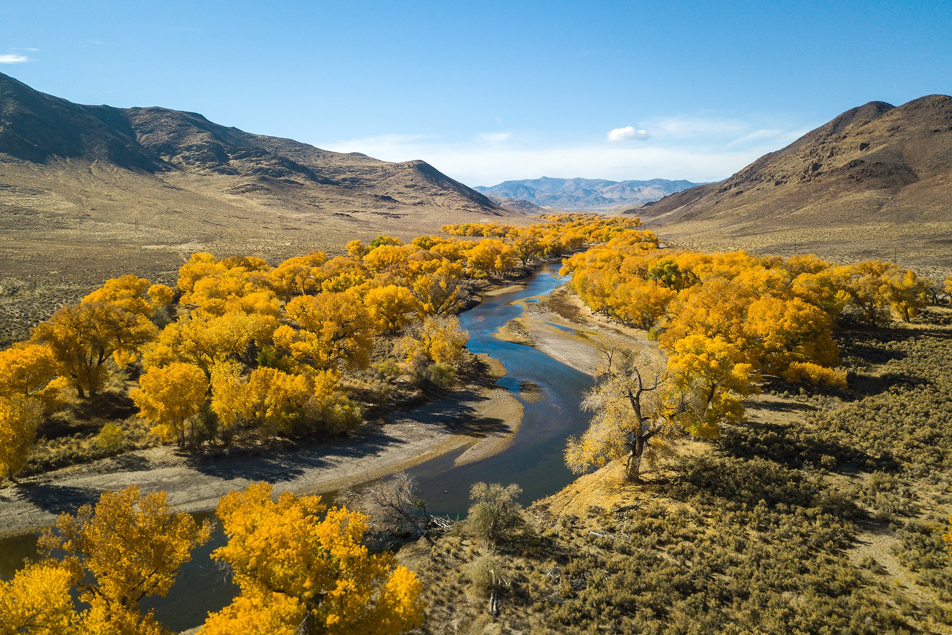 Kayaking in Nevada: Beginner Guide to Desert Waters
