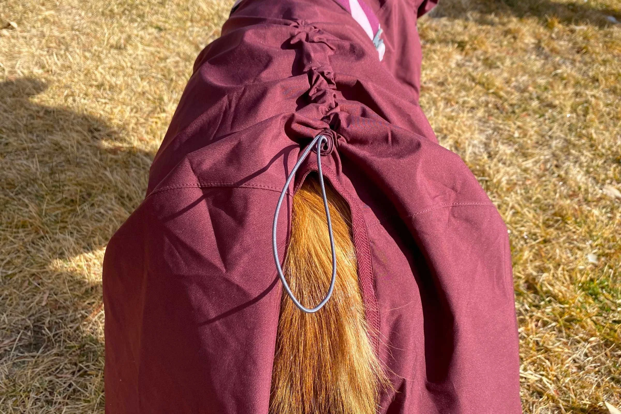 Hands adjusting the rear cinch cord on a Hurtta Mudventure Eco raincoat.